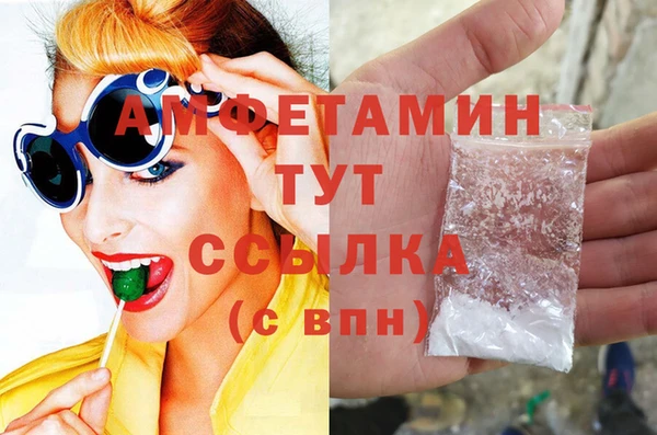 ECSTASY Бородино